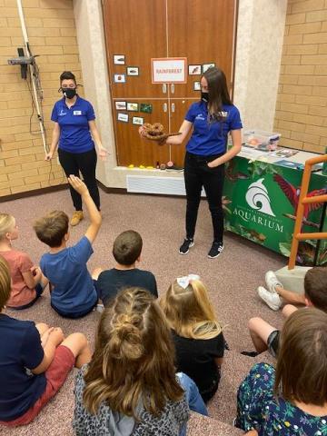 Students learning about the Rainforest