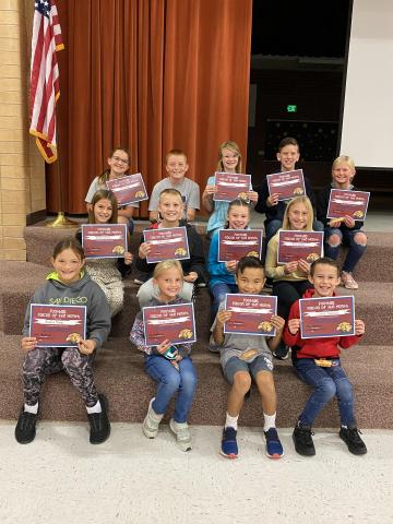 Upper Grade Falcons of the Month