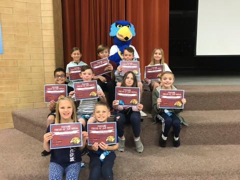 Upper grade Falcons of the Month